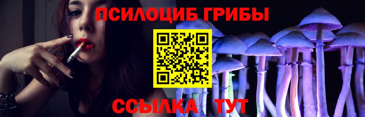 Галлюциногенные грибы ЛСД  Псилоцибиновые грибы мицелий  Нефтеюганск  Вход с VPN 