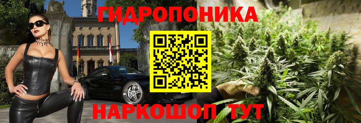 Канабис гибрид  Марихуана гибрид  Канабис семена  Вход с VPN  Нефтеюганск 